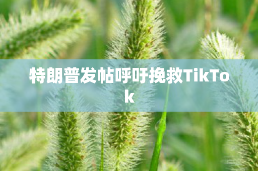 特朗普发帖呼吁挽救TikTok