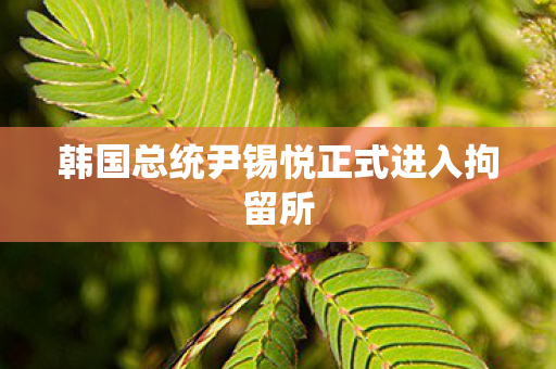 韩国总统尹锡悦正式进入拘留所