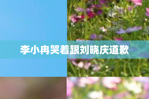 李小冉哭着跟刘晓庆道歉