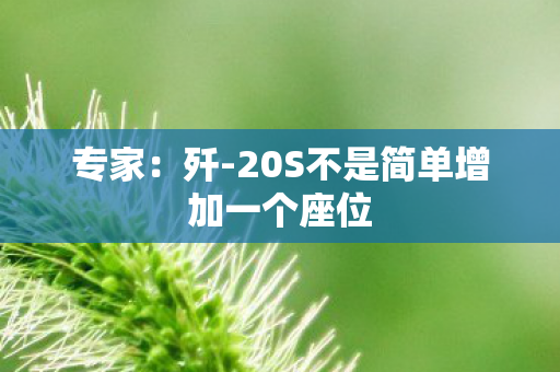 专家：歼-20S不是简单增加一个座位