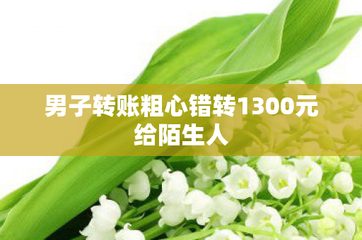 男子转账粗心错转1300元给陌生人