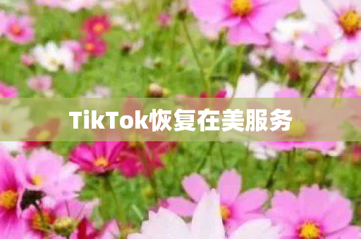 TikTok恢复在美服务