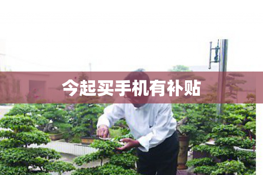 今起买手机有补贴