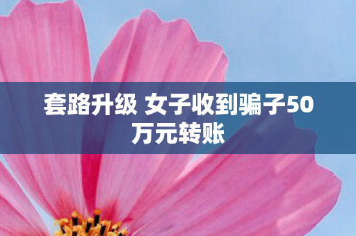 套路升级 女子收到骗子50万元转账