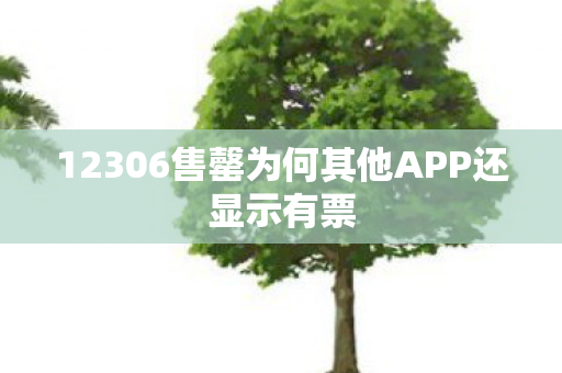 12306售罄为何其他APP还显示有票