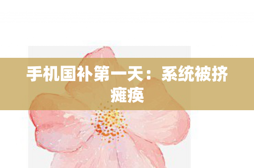 手机国补第一天：系统被挤瘫痪