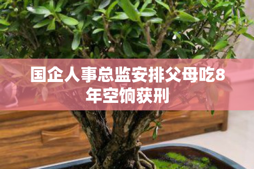 国企人事总监安排父母吃8年空饷获刑