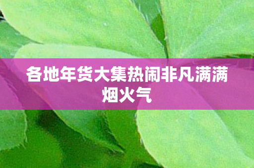 各地年货大集热闹非凡满满烟火气