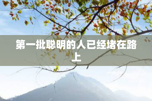 第一批聪明的人已经堵在路上