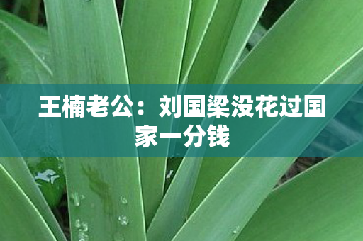 王楠老公：刘国梁没花过国家一分钱