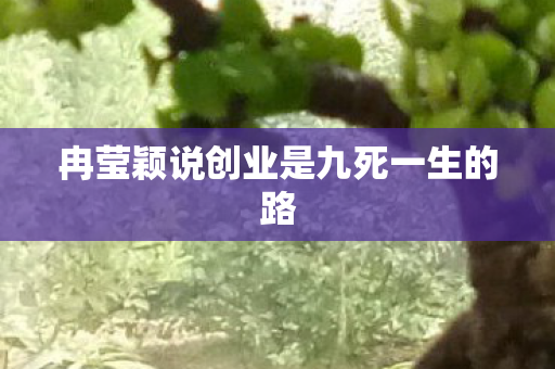 冉莹颖说创业是九死一生的路