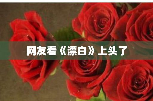 网友看《漂白》上头了