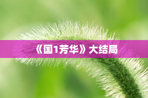 《国1芳华》大结局