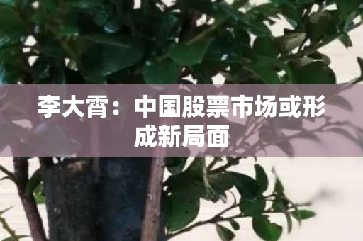 李大霄：中国股票市场或形成新局面