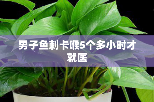 男子鱼刺卡喉5个多小时才就医