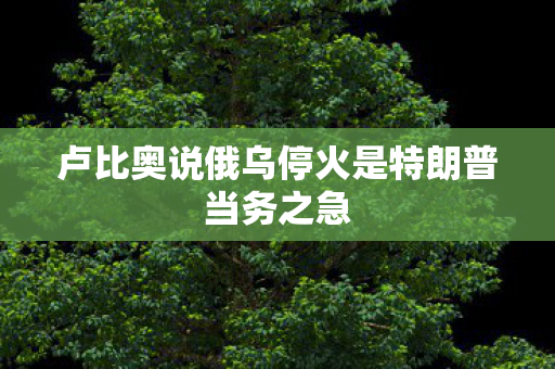 卢比奥说俄乌停火是特朗普当务之急