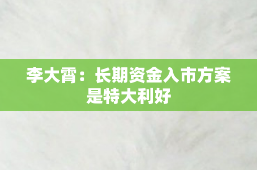 李大霄：长期资金入市方案是特大利好