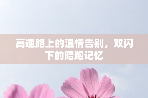 高速路上的温情告别，双闪下的陪跑记忆