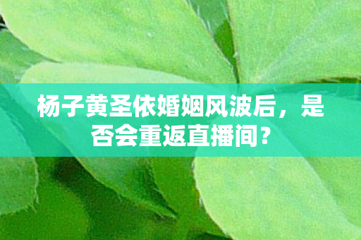 杨子黄圣依婚姻风波后，是否会重返直播间？