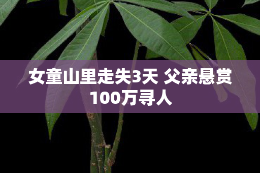 女童山里走失3天 父亲悬赏100万寻人