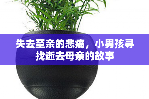 失去至亲的悲痛，小男孩寻找逝去母亲的故事