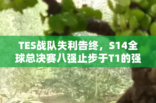 TES战队失利告终，S14全球总决赛八强止步于T1的强势之下