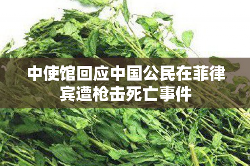 中使馆回应中国公民在菲律宾遭枪击死亡事件