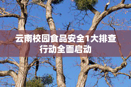 云南校园食品安全1大排查行动全面启动