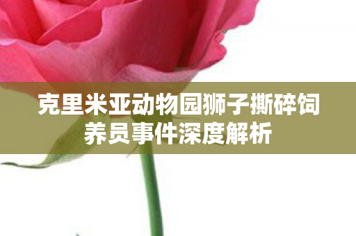 克里米亚动物园狮子撕碎饲养员事件深度解析