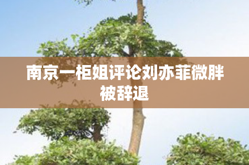 南京一柜姐评论刘亦菲微胖被辞退