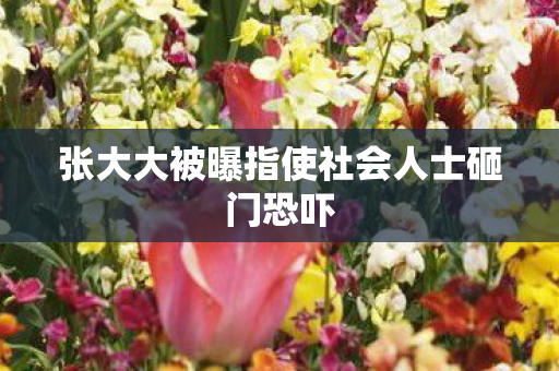 张大大被曝指使社会人士砸门恐吓