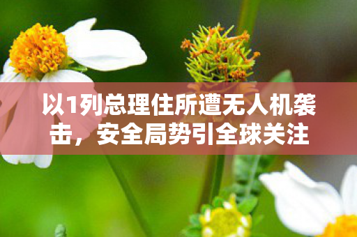 以1列总理住所遭无人机袭击，安全局势引全球关注
