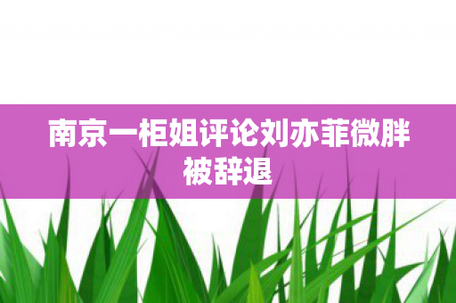 南京一柜姐评论刘亦菲微胖被辞退