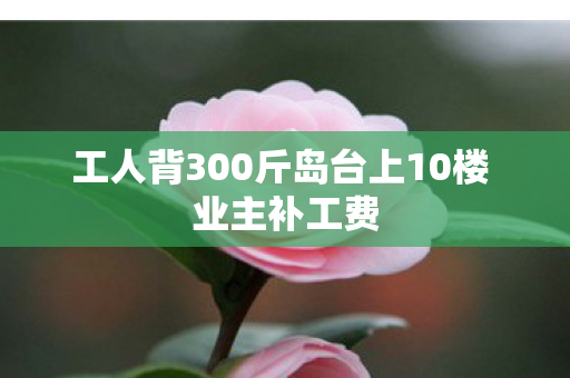 工人背300斤岛台上10楼 业主补工费