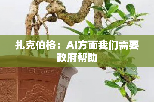 扎克伯格：AI方面我们需要政府帮助