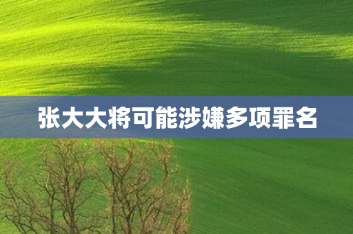 张大大将可能涉嫌多项罪名