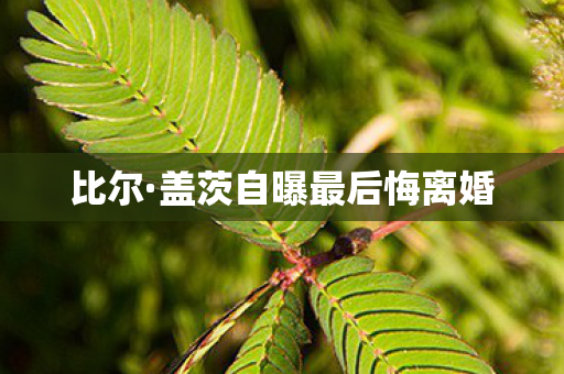 比尔·盖茨自曝最后悔离婚