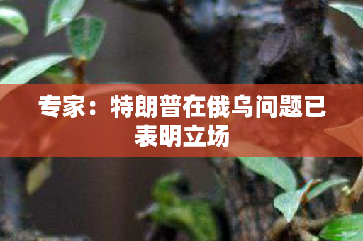 专家：特朗普在俄乌问题已表明立场
