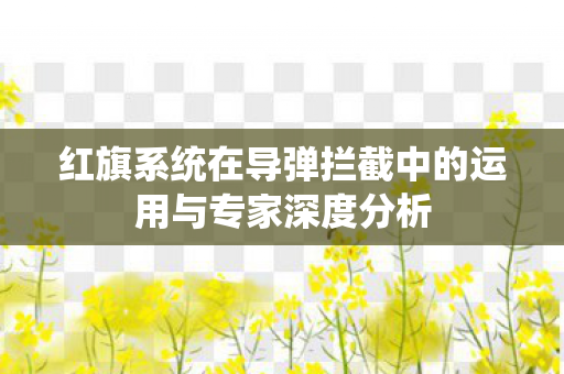 红旗系统在导弹拦截中的运用与专家深度分析