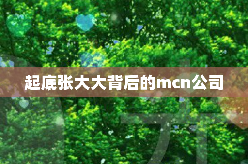 起底张大大背后的mcn公司