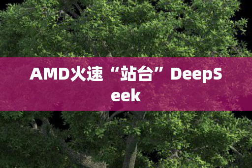 AMD火速“站台”DeepSeek