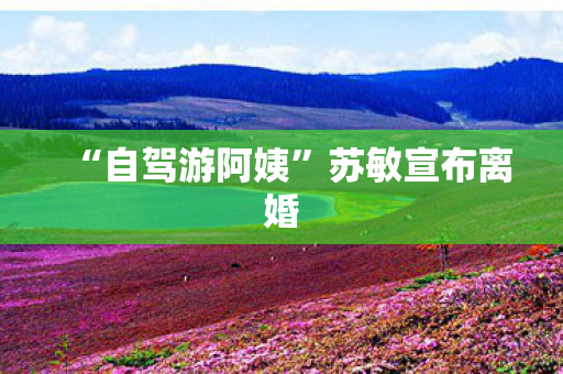 “自驾游阿姨”苏敏宣布离婚