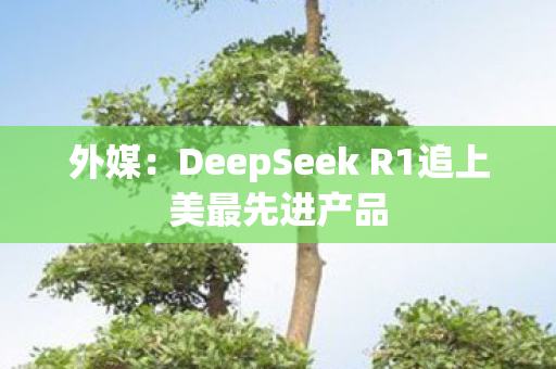 外媒：DeepSeek R1追上美最先进产品