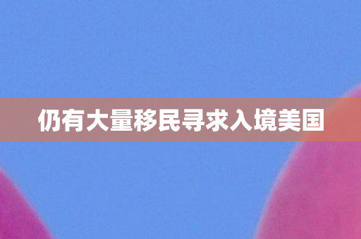 仍有大量移民寻求入境美国