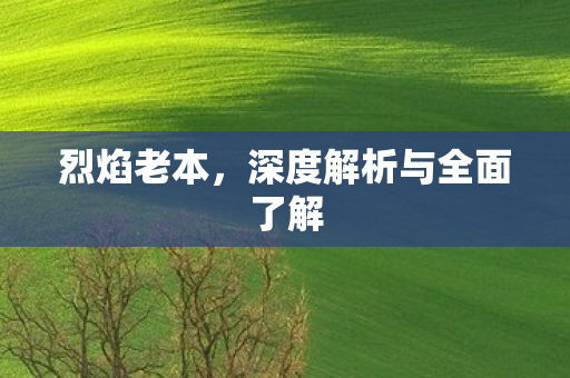 烈焰老本，深度解析与全面了解