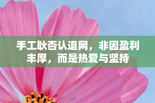 手工耿否认退网，非因盈利丰厚，而是热爱与坚持