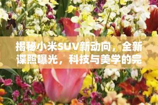 揭秘小米SUV新动向，全新谍照曝光，科技与美学的完美融合