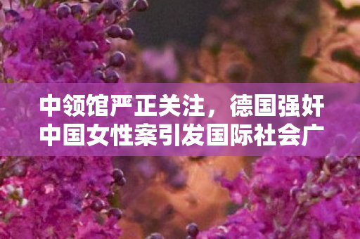 中领馆严正关注，德国强奸中国女性案引发国际社会广泛关注