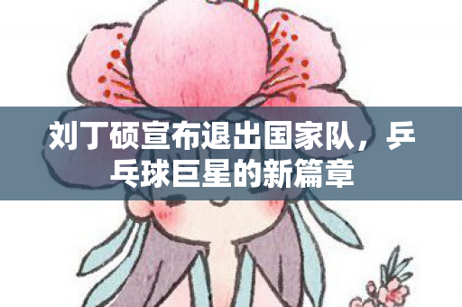 刘丁硕宣布退出国家队，乒乓球巨星的新篇章