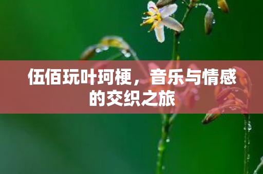 伍佰玩叶珂梗，音乐与情感的交织之旅